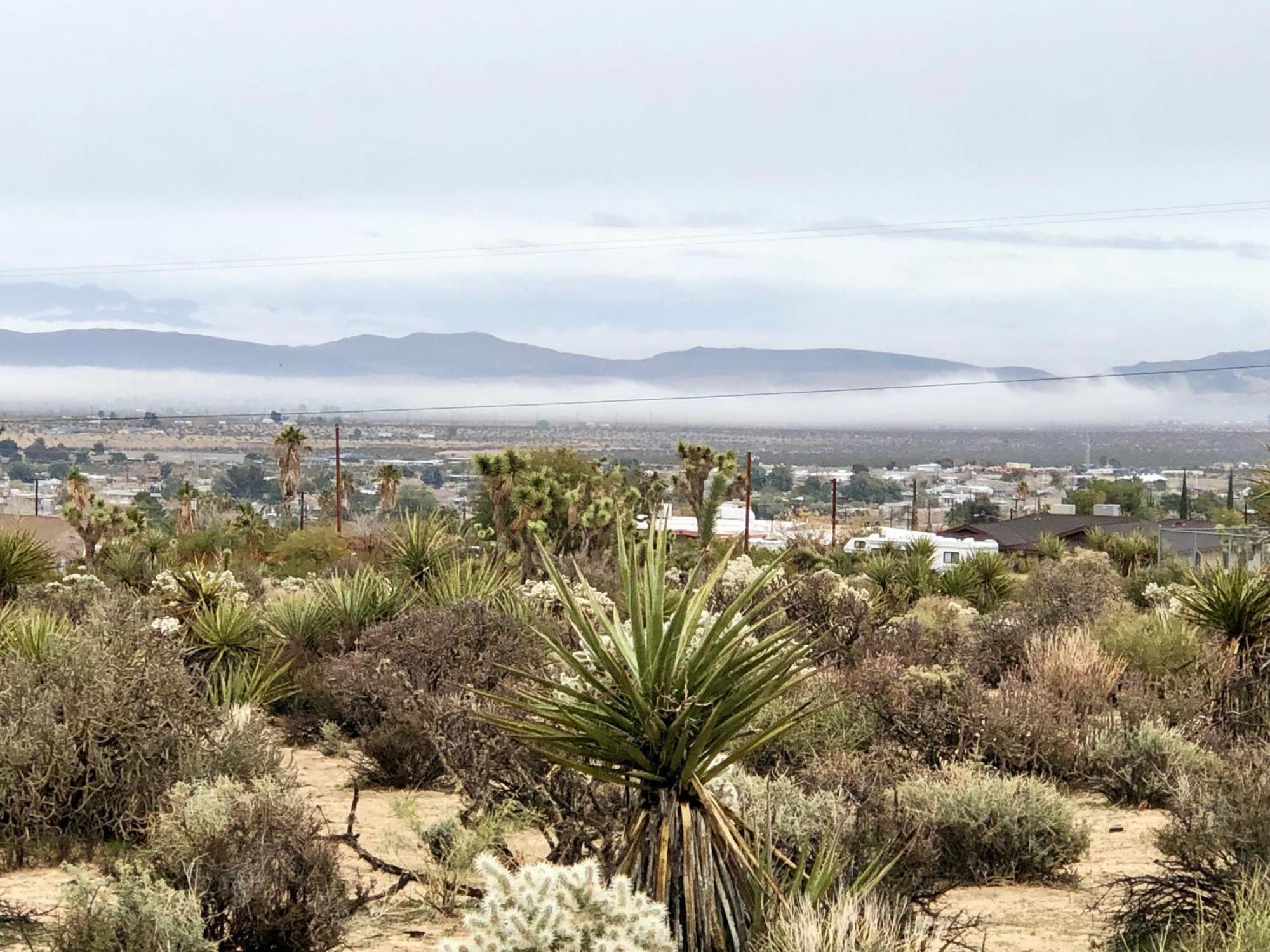 Cozy Desert Retreat With Amazing Views Only 4 Miles To Jtnp Joshua Tree Exterior foto